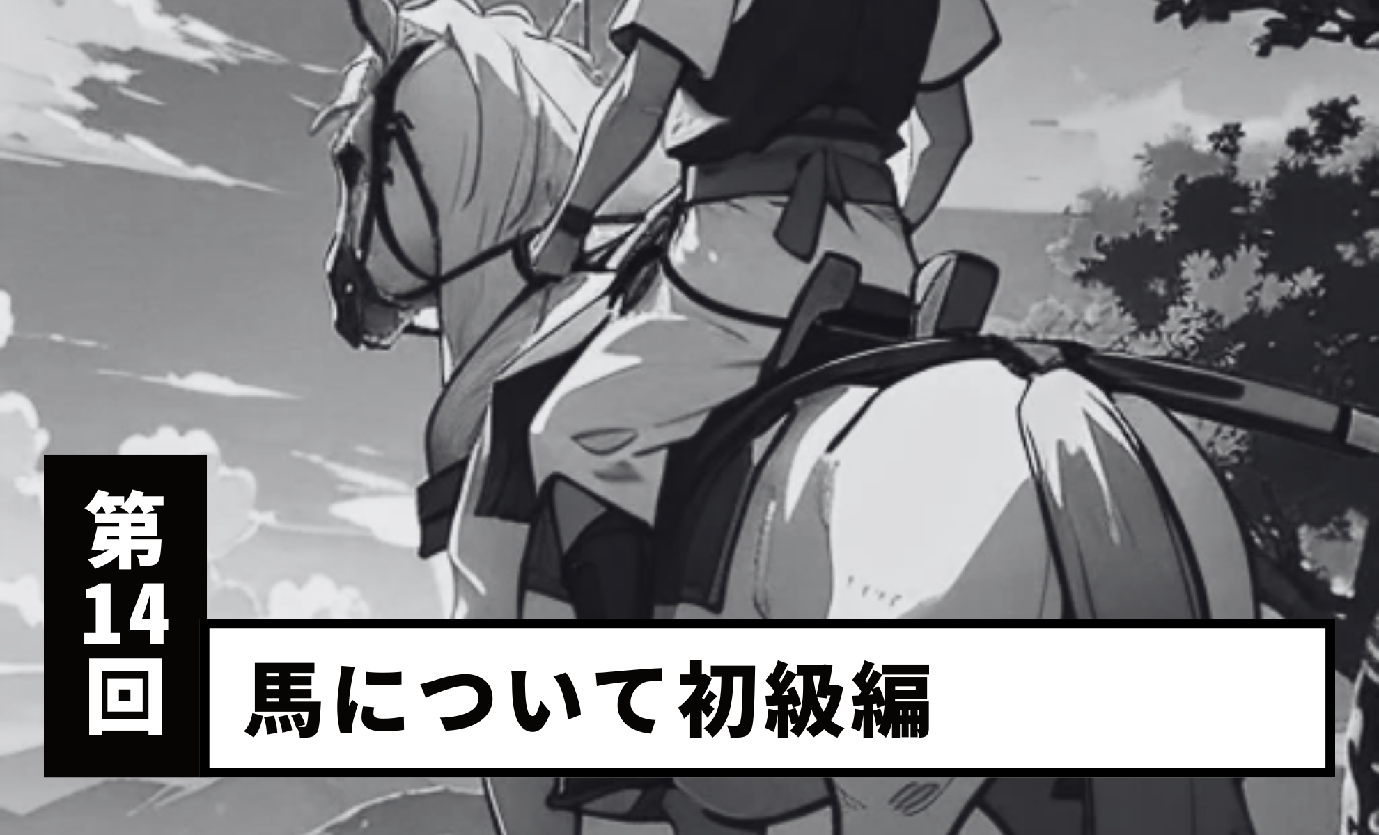 【Vol.14】About Horses: Beginner Edition